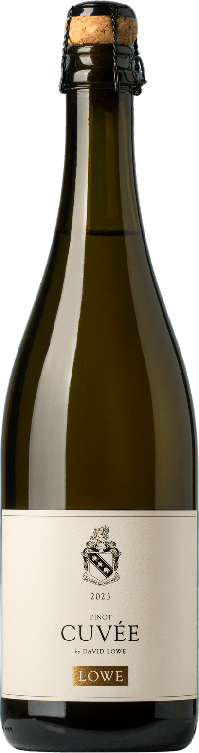 Pinot Noir 2023 — Orange